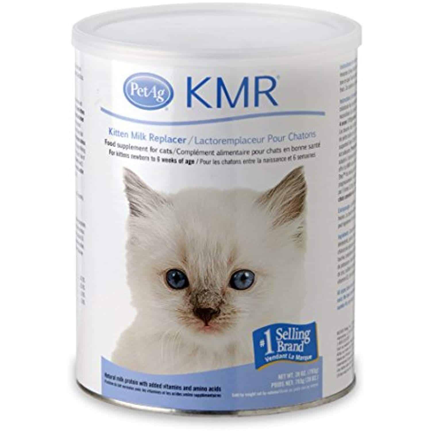 what-to-feed-a-kitten-with-diarrhea-healthygutclub