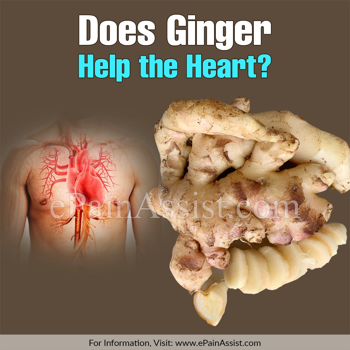 Does Ginger Give You Heartburn