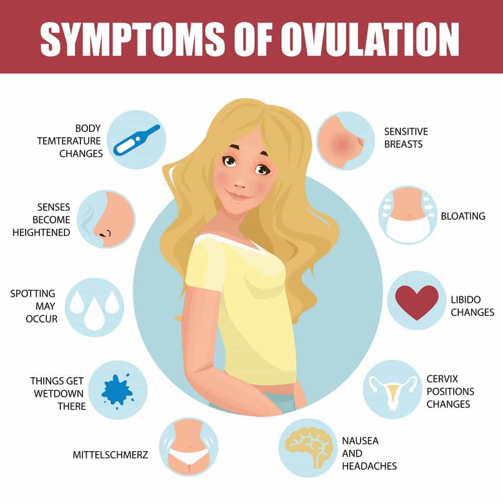 Is It Normal To Bloat During Ovulation Aaron Easton S Blog