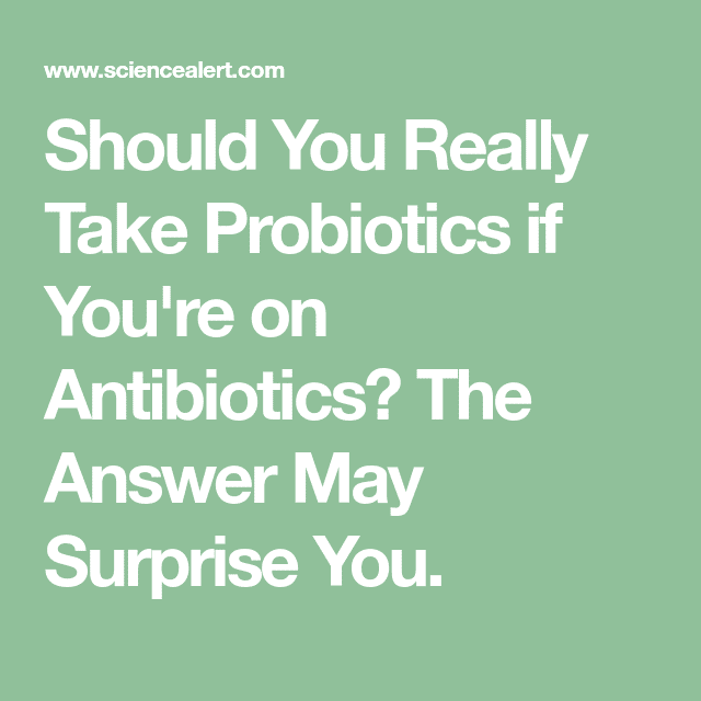 Should You Take Probiotics While You Re Taking Antibiotics